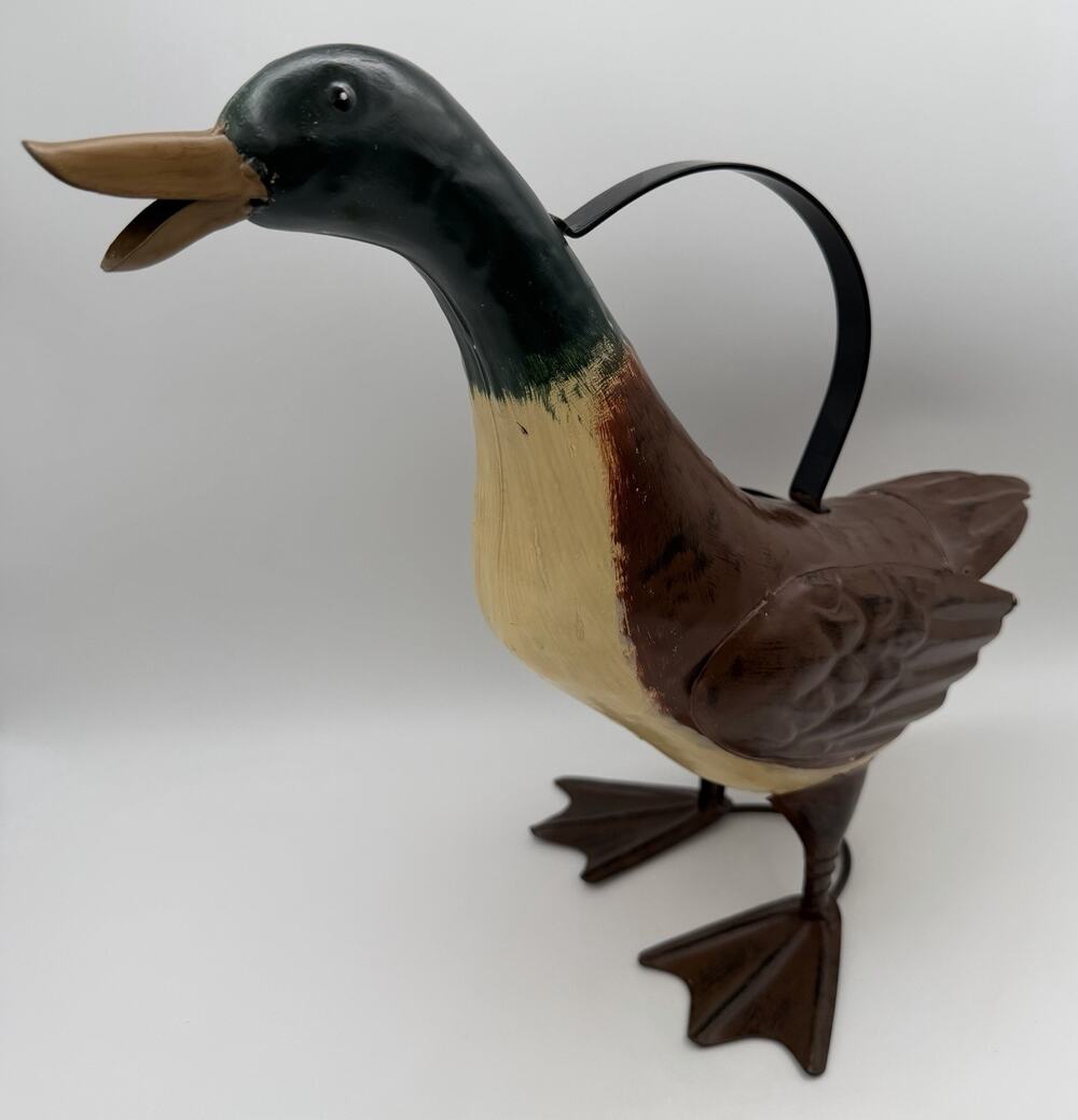Vintage Duck Watering Can Unique Hand Painted Decor